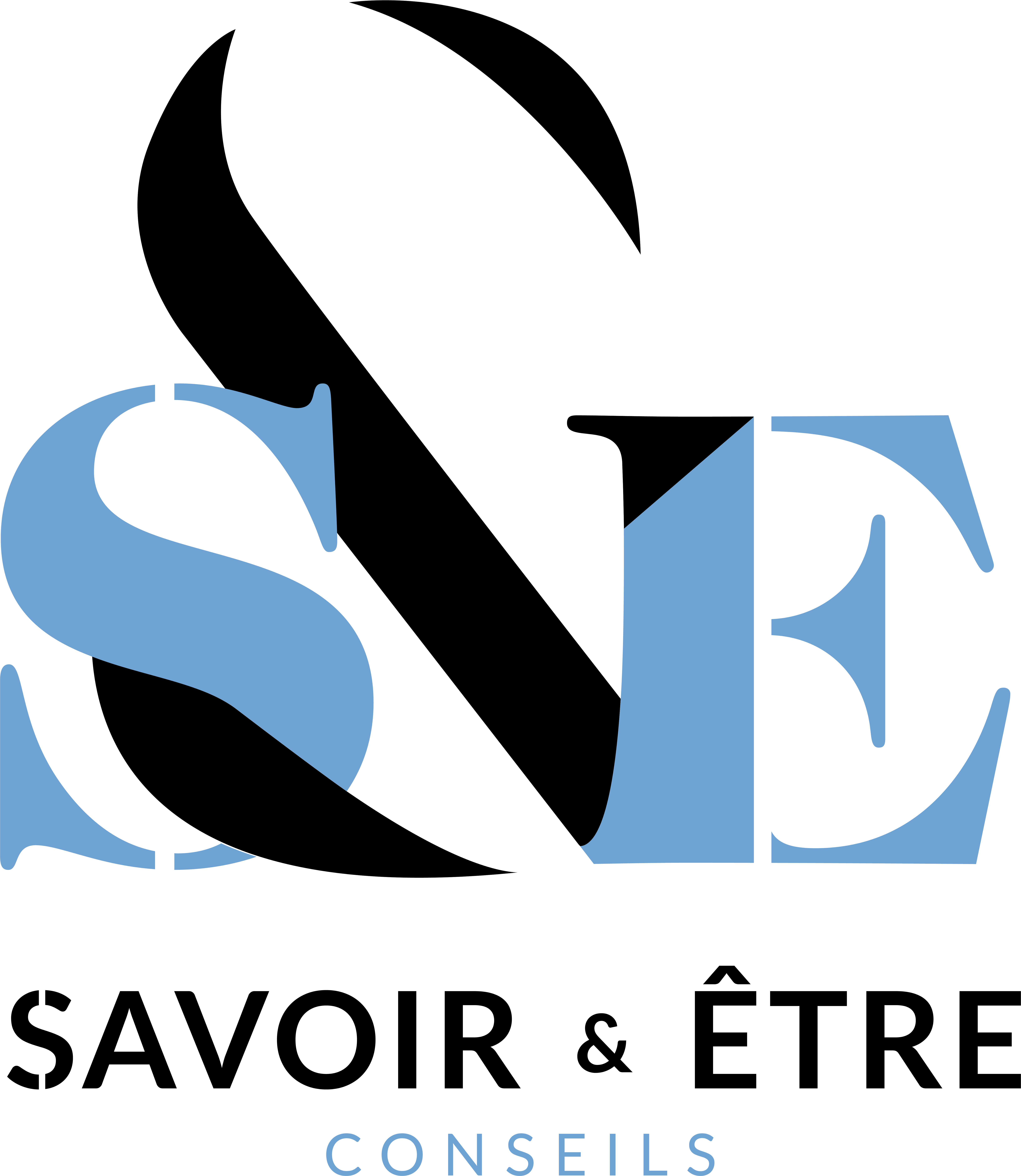 Savoir et Être Conseils